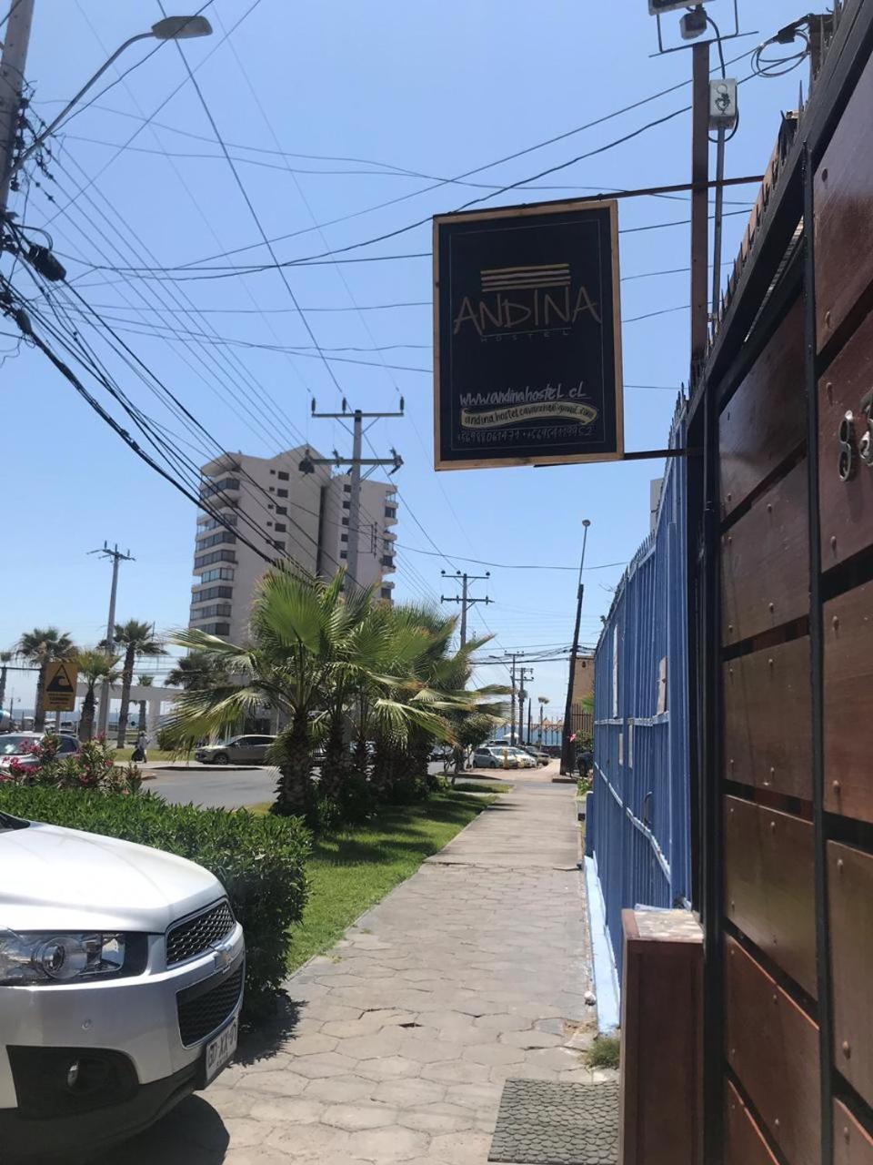 Andina Hostel Cavancha Iquique Exteriör bild